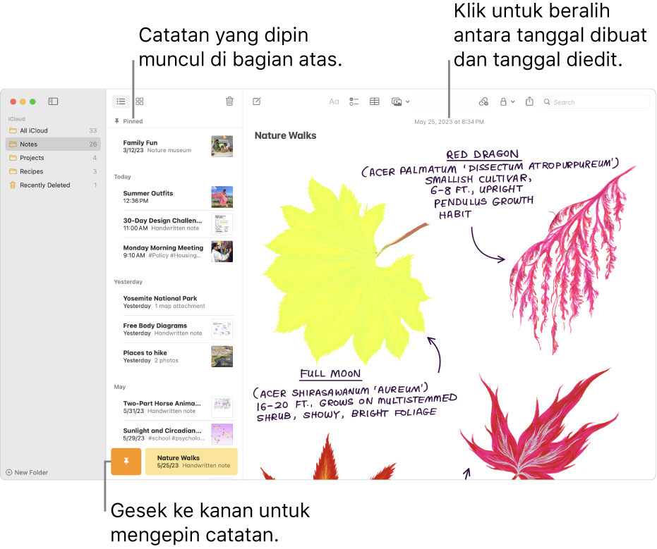 Jendela Catatan dengan daftar catatan di sebelah kiri, catatan yang dipin di bagian atas daftar catatan, dan tombol Pin pada satu catatan. Konten catatan tersebut muncul di kanan dengan tanggal di bagian atas; klik tanggal untuk beralih antara tanggal dibuat dan tanggal diedit.