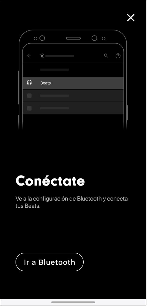 Pantalla de conexión mostrando el botón Ir a Bluetooth