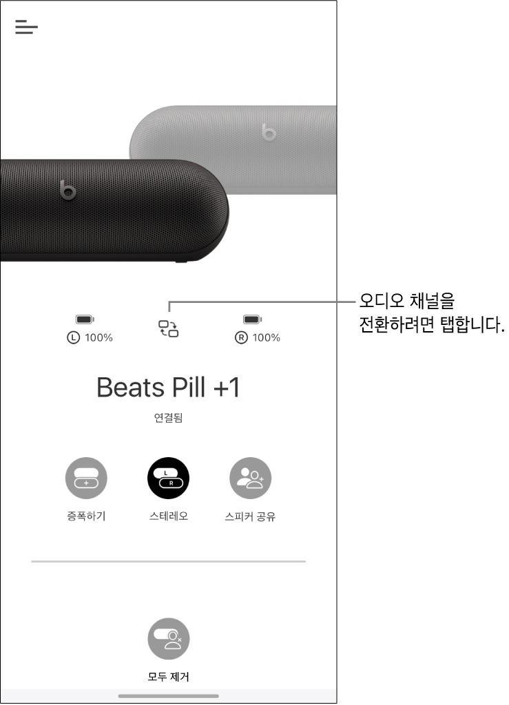 Beats Pill 스피커 스테레오 그룹에 채널 변경 버튼이 표시됨
