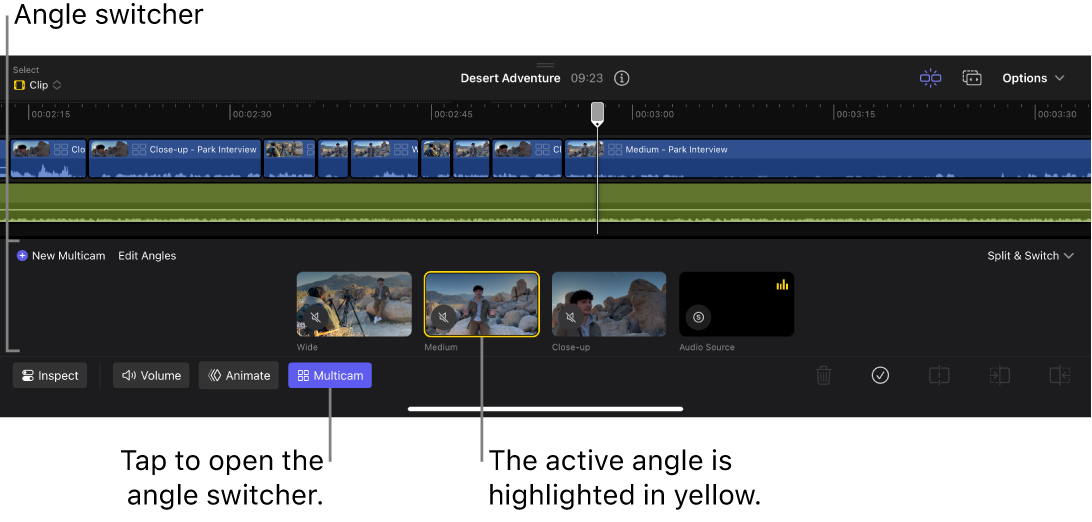 The angle switcher open in the timeline, with thumbnails for four angles.