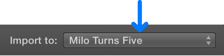 "Import to" pop-up menu