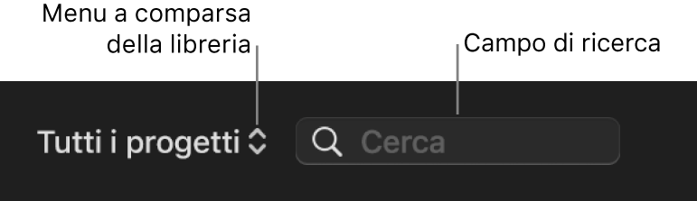Menu a comparsa Libreria e campo di ricerca