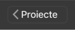 Butonul de revenire Proiecte din bara de instrumente