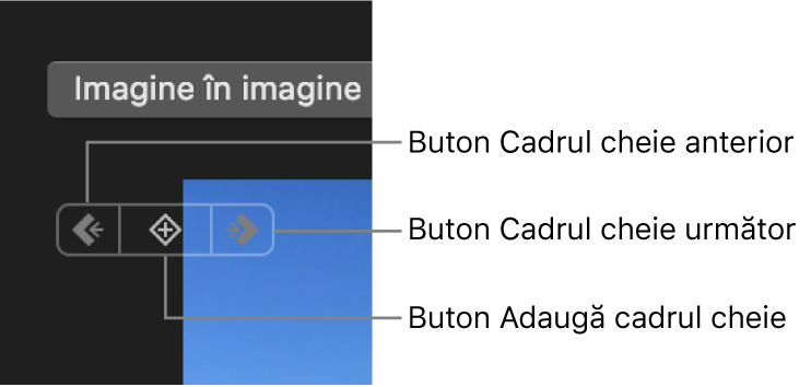 Butoane Cadru cheie anterior, Cadru cheie următor și Șterge cadru cheie, în vizualizator