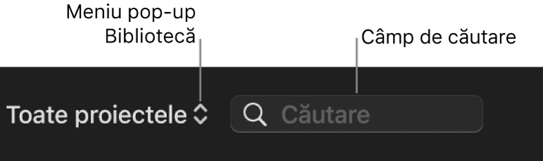 Meniul pop-up Filtru și câmpul de căutare