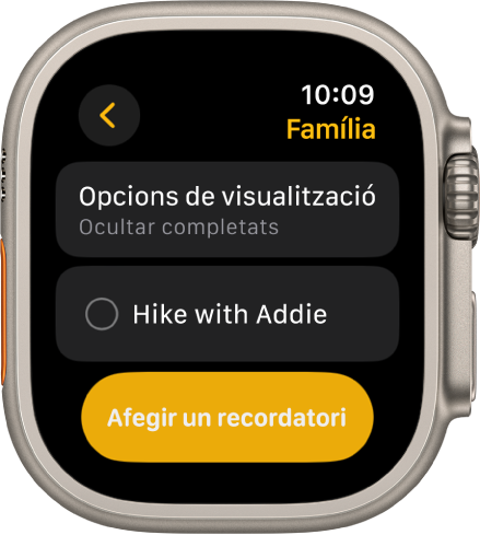 L’app Recordatoris mostra un recordatori. El botó “Opcions de visualització” es mostra a la part superior, amb un recordatori a sota. A la part inferior hi ha el botó “Afegir recordatori”.