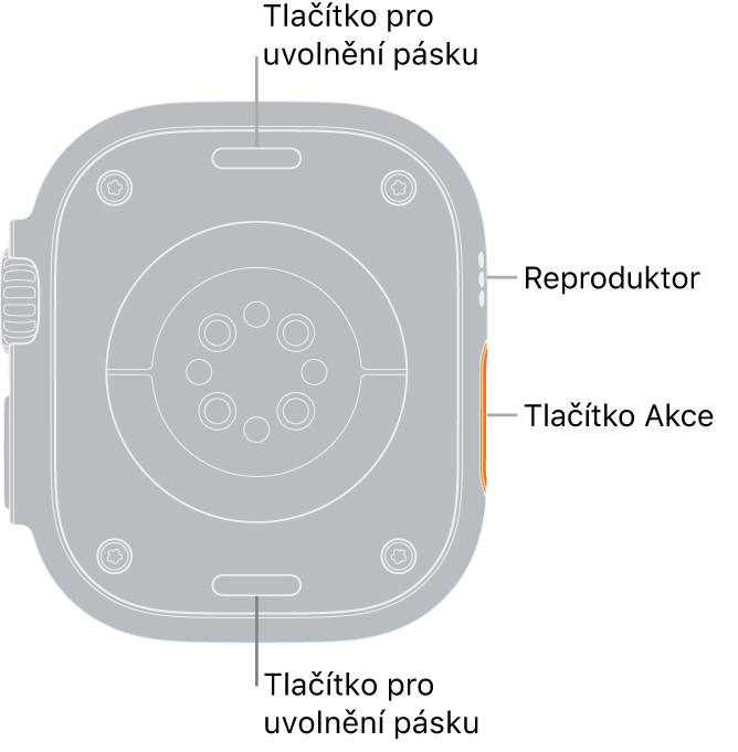 Zadní strana hodinek Apple Watch Ultra: nahoře a dole jsou tlačítka pro uvolnění řemínku, uprostřed elektrická čidla srdeční činnosti, optická čidla srdeční činnosti a čidla pro měření hladiny kyslíku v krvi a na boku je reproduktor a větrací otvor.