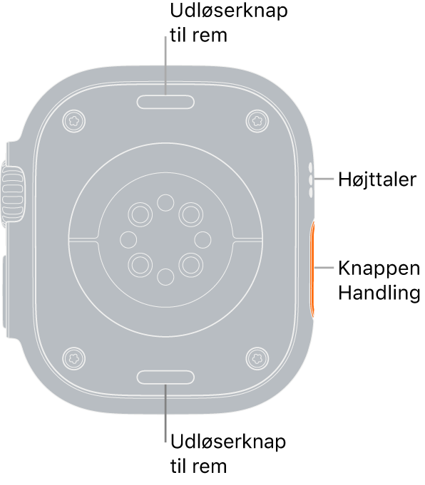 Bagsiden af Apple Watch Ultra med udløserknapperne foroven og forneden, de elektriske pulsmålere, de optiske pulsmålere og sensorerne til iltniveau i blodet i midten og højttaleren/ventilationshullerne på siden.