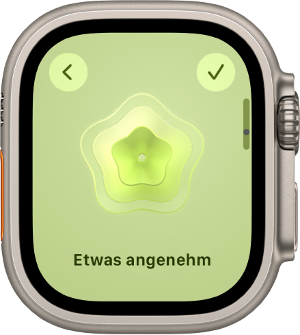 Die App „Achtsamkeit“ mit dem Bildschirm „Gemütszustand“, der in der Mitte ein visuelles Element enthält. Darunter ist ein Gefühl aufgeführt.