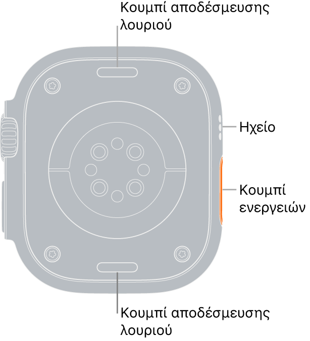 Το πίσω μέρος του Apple Watch Ultra, με τα κουμπιά αποδέσμευσης λουριού πάνω και κάτω, τους ηλεκτρικούς αισθητήρες καρδιάς, τους οπτικούς αισθητήρες καρδιάς και τους αισθητήρες οξυγόνωσης στο κέντρο, και τα ανοίγματα ηχείου/αερισμού στο πλάι.