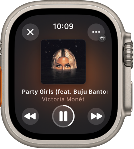 Use Control Center on Apple Watch Ultra - Apple Support
