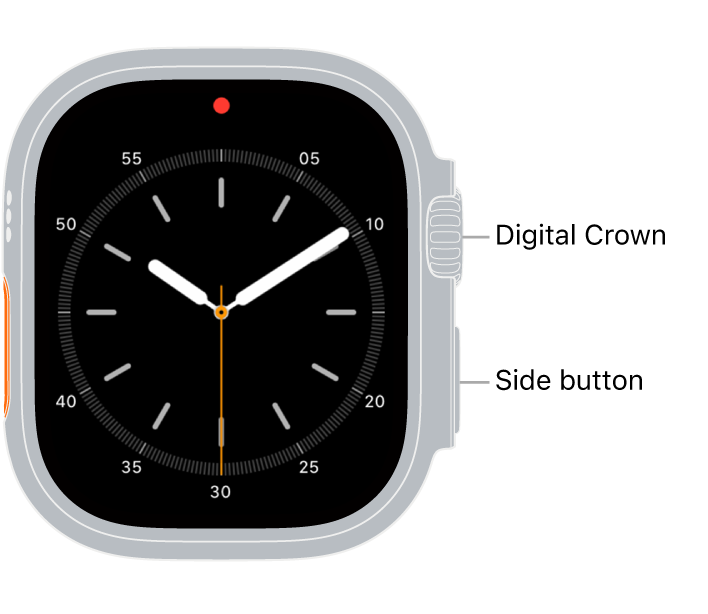 The front of Apple Watch Ultra, with the Digital Crown shown at the top on the right side of the watch and the side button shown at the bottom right.