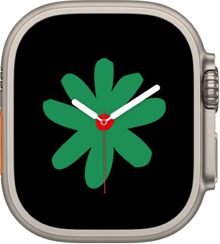 La carátula Flores de la unidad mostrando la hora actual en el centro de la pantalla.