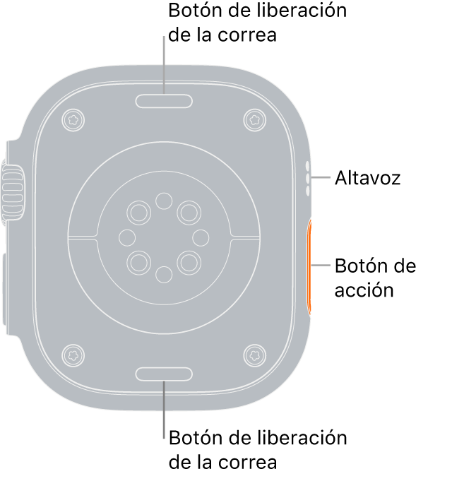 La trasera del Apple Watch Ultra, con los botones de liberación de la correa arriba y abajo, los sensores eléctricos de frecuencia cardiaca, los sensores ópticos de frecuencia cardiaca y los sensores de los niveles de oxígeno en sangre en el medio, y el altavoz/orificios de ventilación en el lateral.