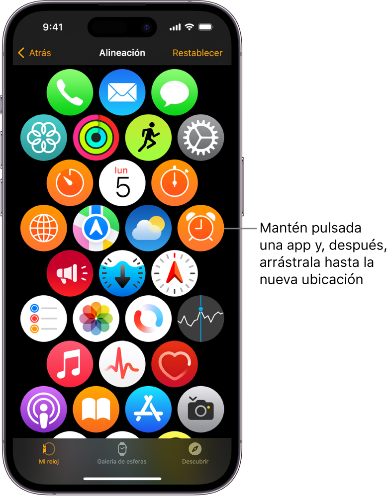 Pantalla Disposición de la app Apple Watch con una cuadrícula de iconos.
