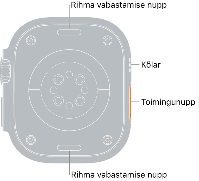 Apple Watch Ultra tagakülg, kus üleval ja all on rihma vabastusnupud, elektrilised südamepulsiandurid, optilised südamepulsiandurid ja keskel vere hapnikusisalduse andur ning kõlar/ventilatsiooniavad küljel.