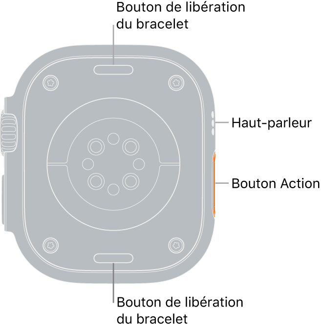 Le dos de l’Apple Watch Ultra, avec les boutons de retrait du bracelet en haut et en bas; les capteurs de fréquence cardiaque électriques et optiques, et les capteurs d’oxygène sanguin au centre; puis le haut-parleur et les évents sur le côté.