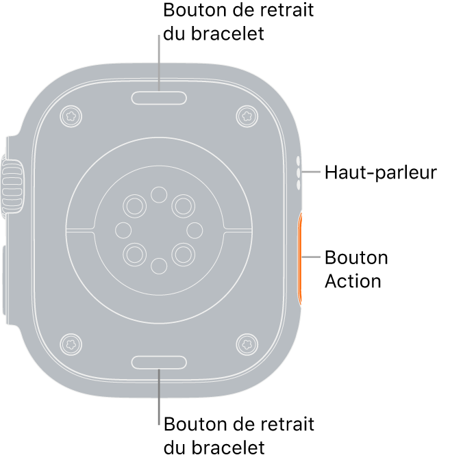 L’arrière de l’Apple Watch Ultra, avec les boutons de retrait du bracelet en haut et en bas, les capteurs électriques de fréquence cardiaque, les capteurs optiques de fréquence cardiaque et les capteurs d’oxygénation du sang au milieu, ainsi que le haut-parleur et les aérations sur le côté.