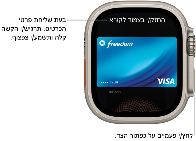 מסך של Apple Pay עם הכיתוב ״החזק/י בצמוד לקורא״;בעת שליחת נתוני הכרטיס תורגש נקישה קלה ויישמע ״ביפ״.