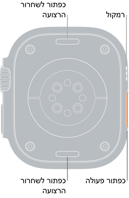 החלק האחורי של Apple Watch Ultra עם כפתורי שחרור הרצועה למעלה ולמטה, חיישני הדופק האלקטרוניים, חיישני הדופק האופטיים וחיישני רמת החמצן בדם בחלק המרכזי והרמקול/פתחי האוורור בצד.