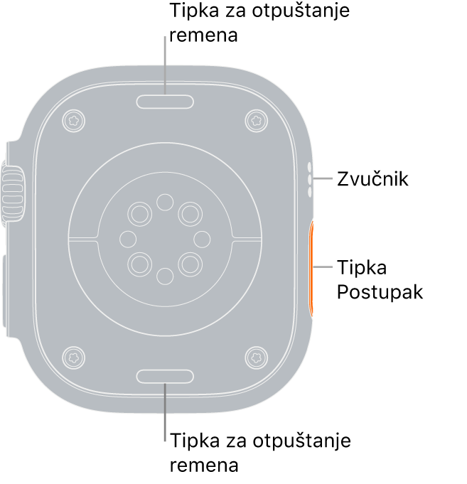 Stražnja strana modela Apple Watch Ultra s tipkama za otpuštanje remena pri vrhu i dnu, električnim senzorima srca, optičkim senzorima srca i senzorima za zasićenost kisikom po sredini te zvučnik/zračni ventili sa strane.