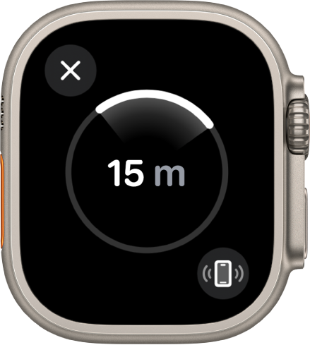La schermata “Posizione precisa” che mostra che iPhone è davanti a te a una di distanza di circa 24 metri. Il pulsante “Fai suonare iPhone” è in basso a destra.
