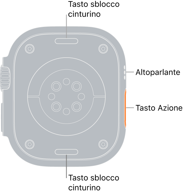 La parte posteriore di Apple Watch Ultra, con i pulsanti di sblocco del cinturino in alto e in basso, i sensori elettrici e quelli ottici per il cuore e i sensori per il livello di ossigeno nel sangue in mezzo, e l’altoparlante e i condotti di ventilazione sul lato.