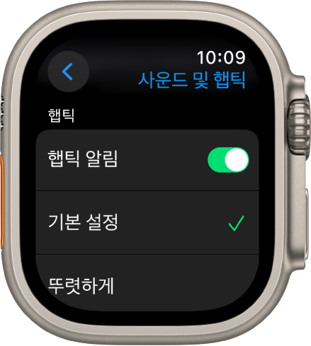 햅틱 알림 스위치가 있는 Apple Watch의 사운드 및 햅틱 설정, 그 아래에는 기본 설정 및 뚜렷하게 옵션이 있음.