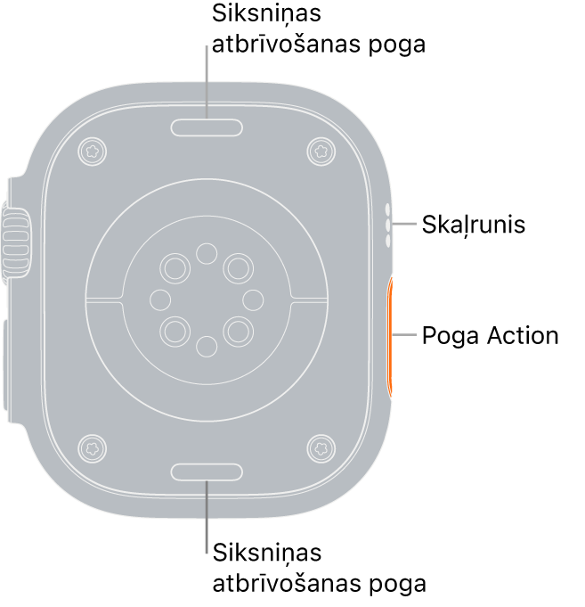 Apple Watch Ultra pulksteņa aizmugure ar siksniņas atbrīvošanas pogām augšā un apakšā, elektrisko pulsometru, optisko pulsometru un skābekļa līmeņa asinīs sensoru vidū un skaļruņa/gaisa atverēm sānā.
