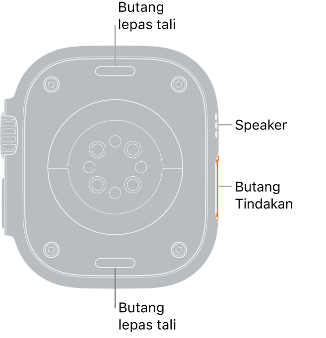 Bahagian belakang Apple Watch Ultra, dengan butang lepaskan tali di atas dan bawah, sensor jantung elektrik, sensor jantung optik dan sensor oksigen darah di tengah serta speaker/liang udara pada bahagian sisi.