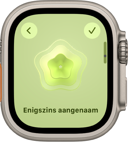De Mindfulness-app met het gemoedstoestandscherm, met in het midden een afbeelding. Daaronder staat een emotie.