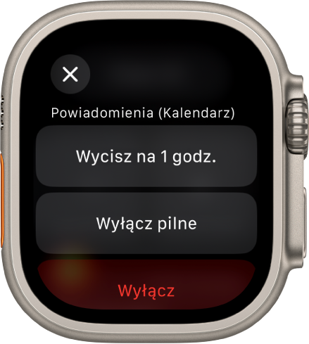 Ustawienia powiadomień na Apple Watch. U góry znajduje się przycisk Wycisz na 1 godz. Poniżej wyświetlane są przyciski Wyłącz pilne i Wyłącz.