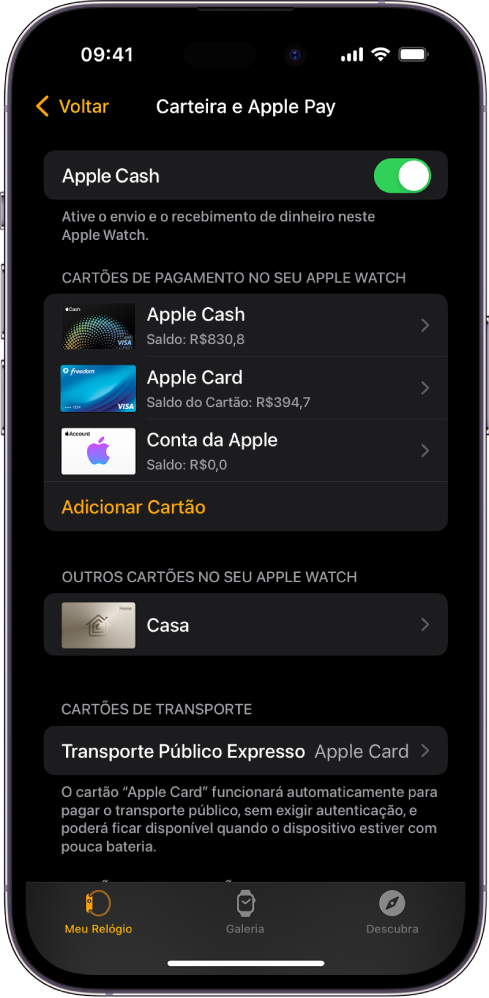 A tela “Carteira e Apple Pay” no app Apple Watch do iPhone. A tela mostra cartões adicionados ao Apple Watch e o cartão escolhido para uso no transporte público expresso.