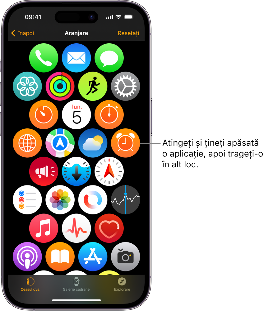 Ecranul Aranjare în aplicația Apple Watch, afișând o grilă de pictograme.