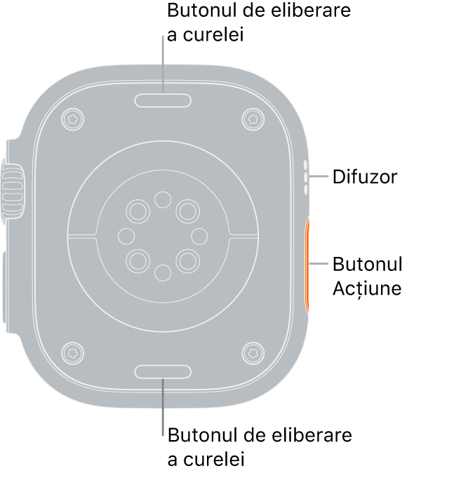 Spatele dispozitivului Apple Watch Ultra, cu butoanele de eliberare a brățării în partea de sus și de jos, senzorii cardiaci electrici, senzorii cardiaci optici și senzorii pentru oxigenul din sânge în mijloc și difuzorul/orificiile de ventilare pe partea laterală.