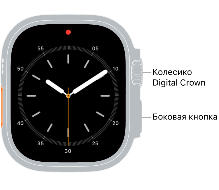 Лицевая сторона Apple Watch Ultra. Вверху справа показано колесико Digital Crown, а внизу справа — боковая кнопка.