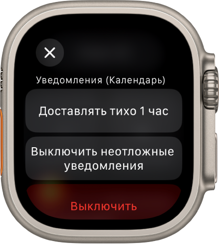 Настройки уведомлений на Apple Watch. На верхней кнопке написано «Доставлять тихо 1 час». Ниже находятся кнопки «Выключить неотложные уведомления» и «Выключить».