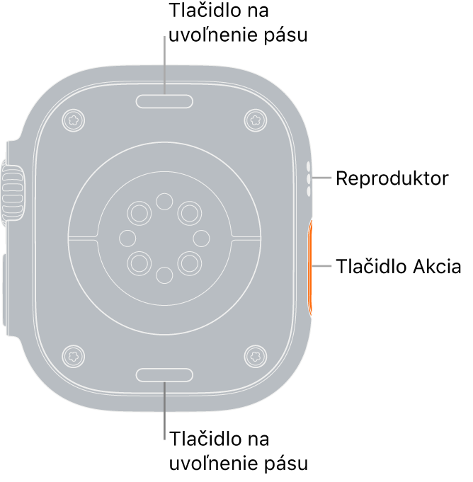 Zadná strana hodiniek Apple Watch Ultra. Navrchu a naspodku sa nachádzajú tlačidlá na uvoľnenie remienka. V strede sú umiestnené elektrické srdcové senzory, optické srdcové senzory a senzory saturácie kyslíkom a naboku reproduktor/prieduchy.