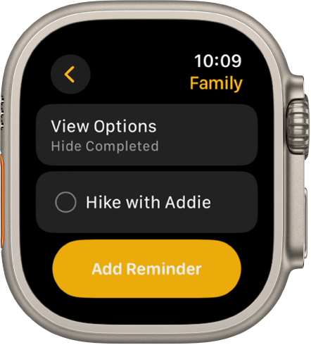 Aplikacija Reminders (Opomniki) prikazuje opomnik. Gumb View Options (Možnosti pogleda) je na vrhu, z opomnikom spodaj. Na dnu je gumb Add Reminder (Dodaj opomnik).