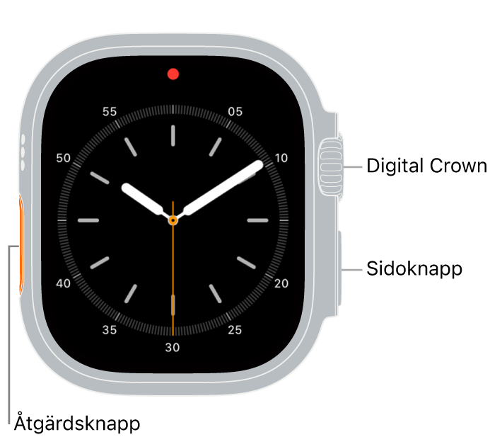 Framsidan på Apple Watch Ultra. Skärmen visar urtavlan och på sidan av klockan, uppifrån och ned, finns Digital Crown, mikrofonen och sidoknappen.