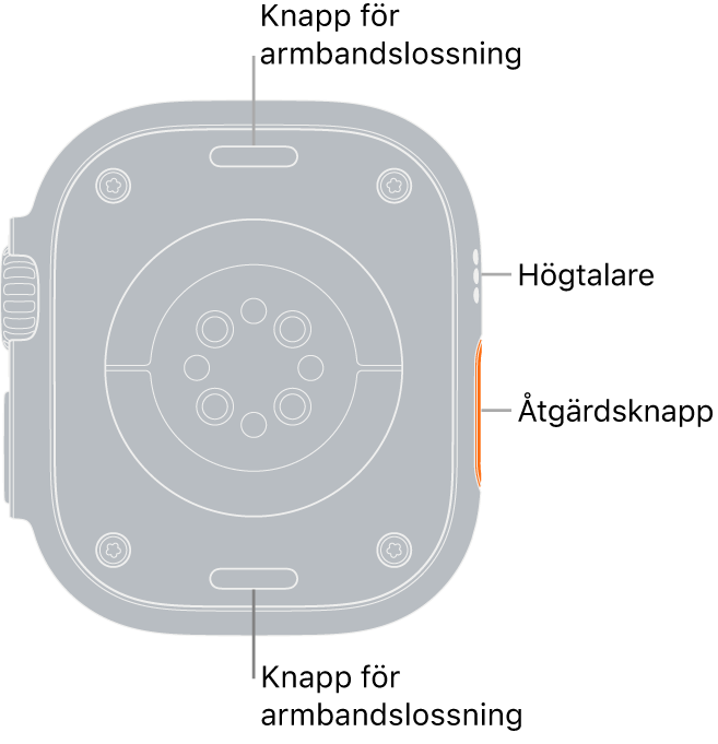 Baksidan på Apple Watch Ultra med knapparna för armbandslossning högst upp och längst ned, de elektriska hjärtsensorerna, optiska hjärtsensorerna och sensorerna för syrenivån i blodet i mitten och högtalare/luftventiler på sidan.