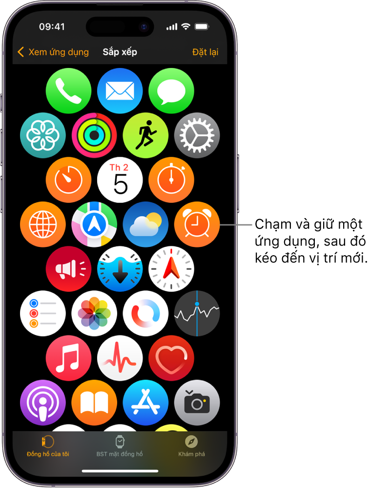 Màn hình Sắp xếp trong ứng dụng Apple Watch đang hiển thị một lưới biểu tượng.