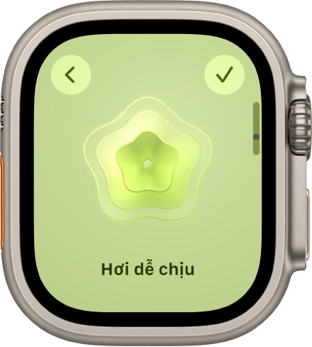 Màn hình ứng dụng Chú tâm đang hiển thị màn hình Trạng thái tinh thần với một hình ảnh ở trung tâm. Một cảm xúc được liệt kê bên dưới.