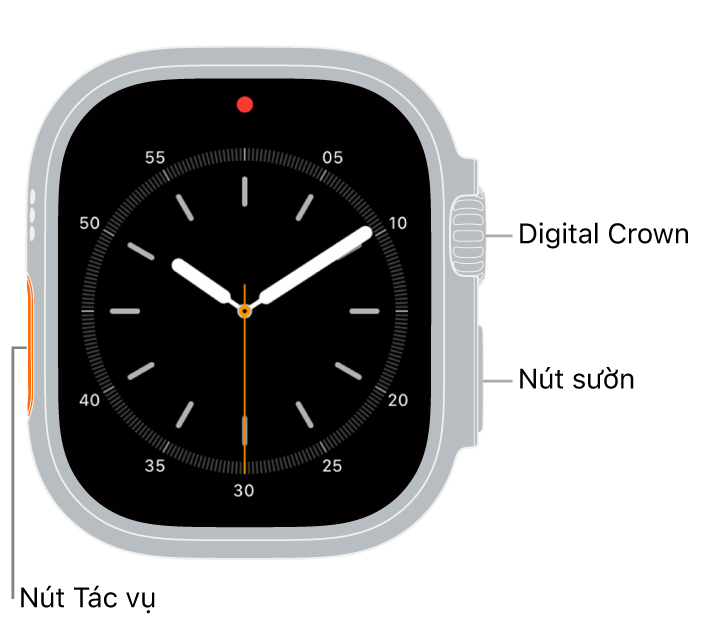 Mặt trước của Apple Watch Ultra, với màn hình đang hiển thị mặt đồng hồ và Digital Crown, micrô và nút sườn từ trên xuống dưới trên sườn của đồng hồ.