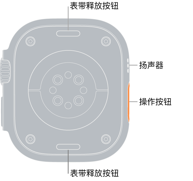 Apple Watch Ultra 的背面，顶部和底部是表带释放按钮，中间是电子心率传感器、光学心率传感器和血氧传感器，侧边是扬声器/通风孔。