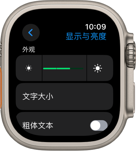 Apple Watch 上的“显示与亮度”设置，顶部是“亮度”滑块，下方是“文字大小”按钮。