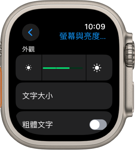 Apple Watch 上的「螢幕與亮度」設定，其中「亮度」滑桿位於最上方，「文字大小」按鈕則位於下方。
