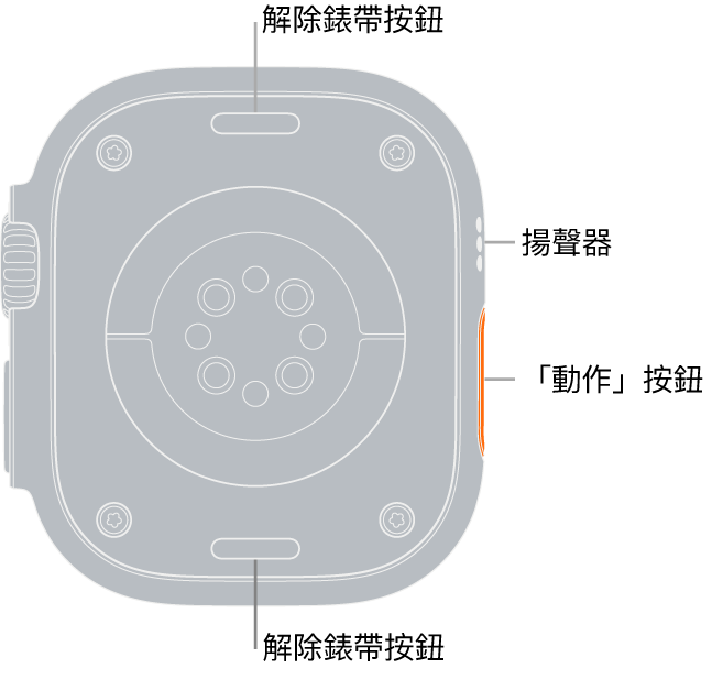 Apple Watch Ultra 的背面，頂端和底部為解除錶帶按鈕，中央為電子心率感測器、光學心率感測器，以及血氧濃度感測器，而側邊為揚聲器/通氣孔。