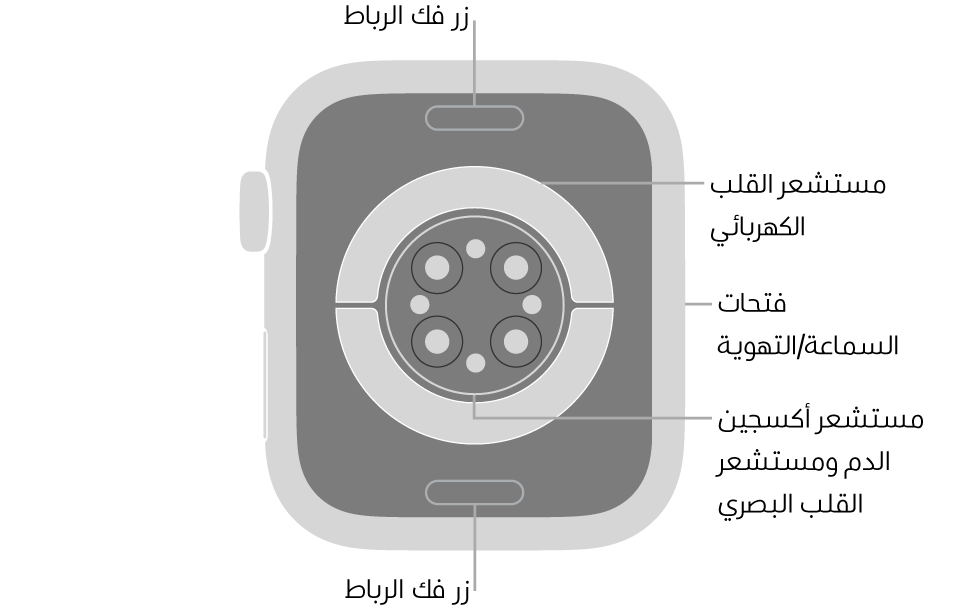 الجزء الخلفي من Apple Watch Series 9 ويظهر به زرا تحرير الرباط في الأعلى والأسفل ومستشعر القلب الكهربائي ومستشعر القلب البصري ومستشعر أكسجين الدم وفتحات السماعة/التهوية على الجانب.