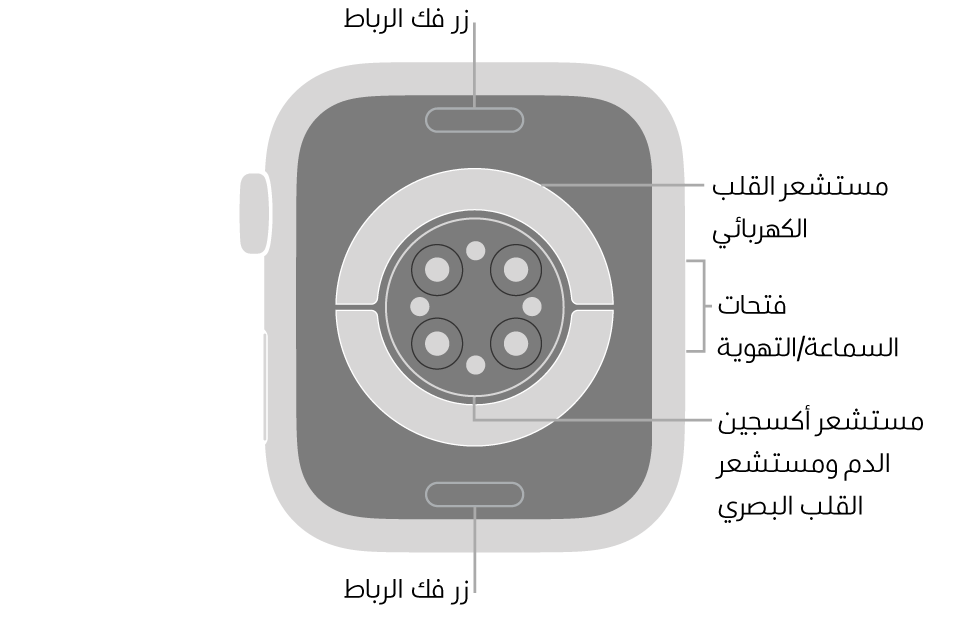 الجزء الخلفي من Apple Watch Series 6 ويظهر به زرا تحرير الرباط في الأعلى والأسفل ومستشعر القلب الكهربائي ومستشعر القلب البصري ومستشعر أكسجين الدم وفتحات السماعة/التهوية على الجانب.